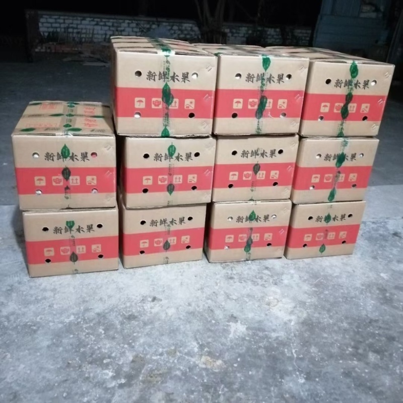 丑柑大量批发