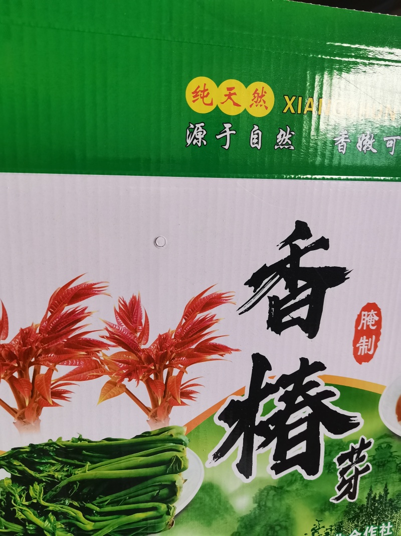 好山，好水，好香椿芽咸菜，味美可口！