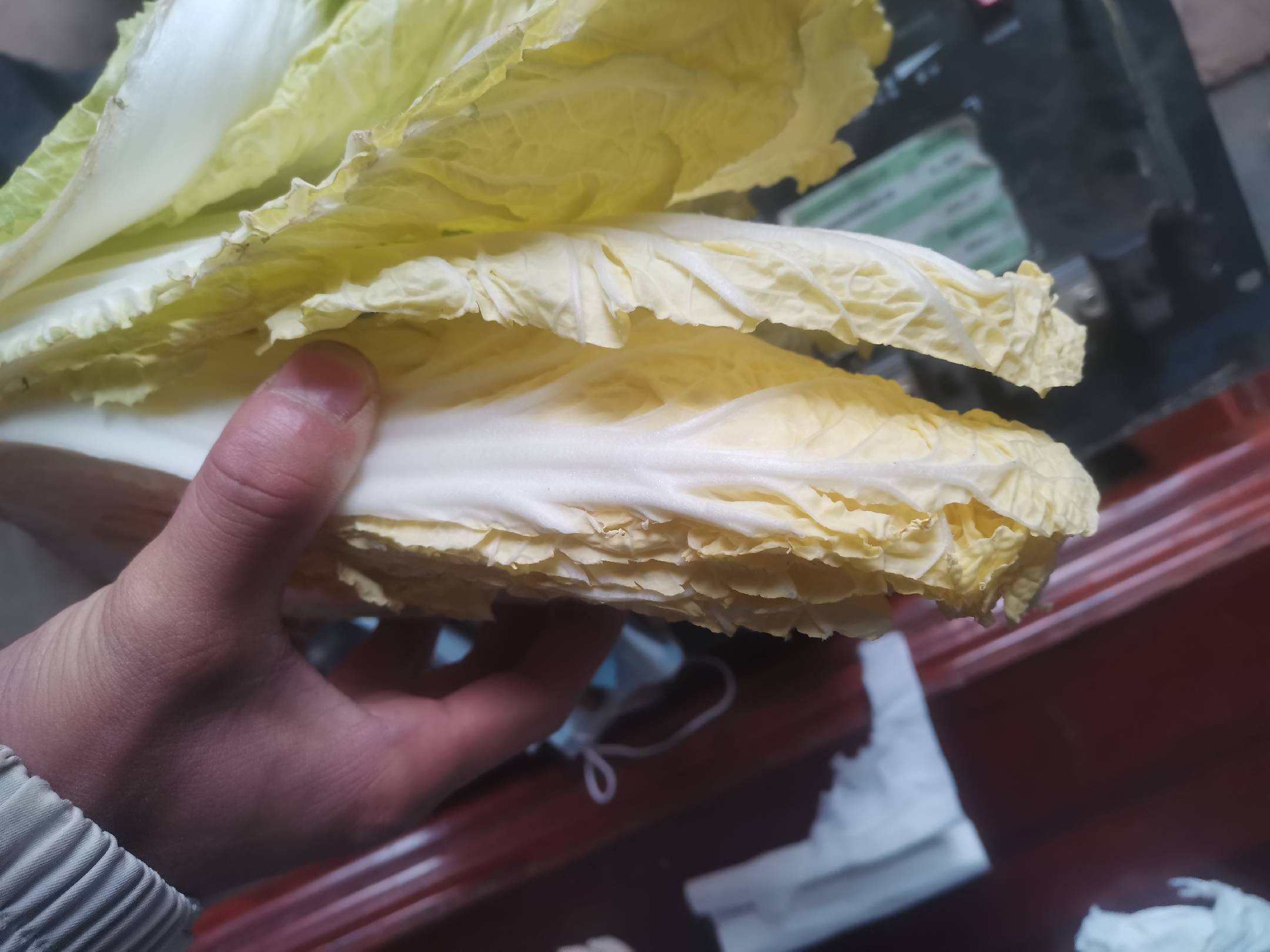 菠菜与火龙果摆盘图