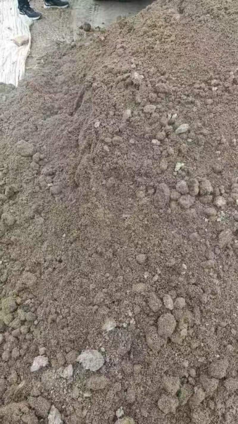 【牛商优选】大量供应优质猪粪品质保证纯正蔬菜果蔬肥