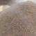 【牛商优选】大量供应优质猪粪品质保证纯正蔬菜果蔬肥