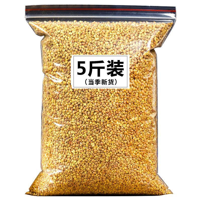 黄苦荞茶批发苦荞麦茶通排茶刮油苦荞茶四川大凉山饭店
