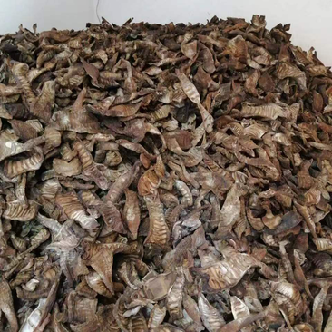 原味烟笋干农家制干货烟熏笋干质量保证货源充足欢迎订购
