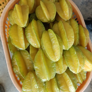 漳州杨桃