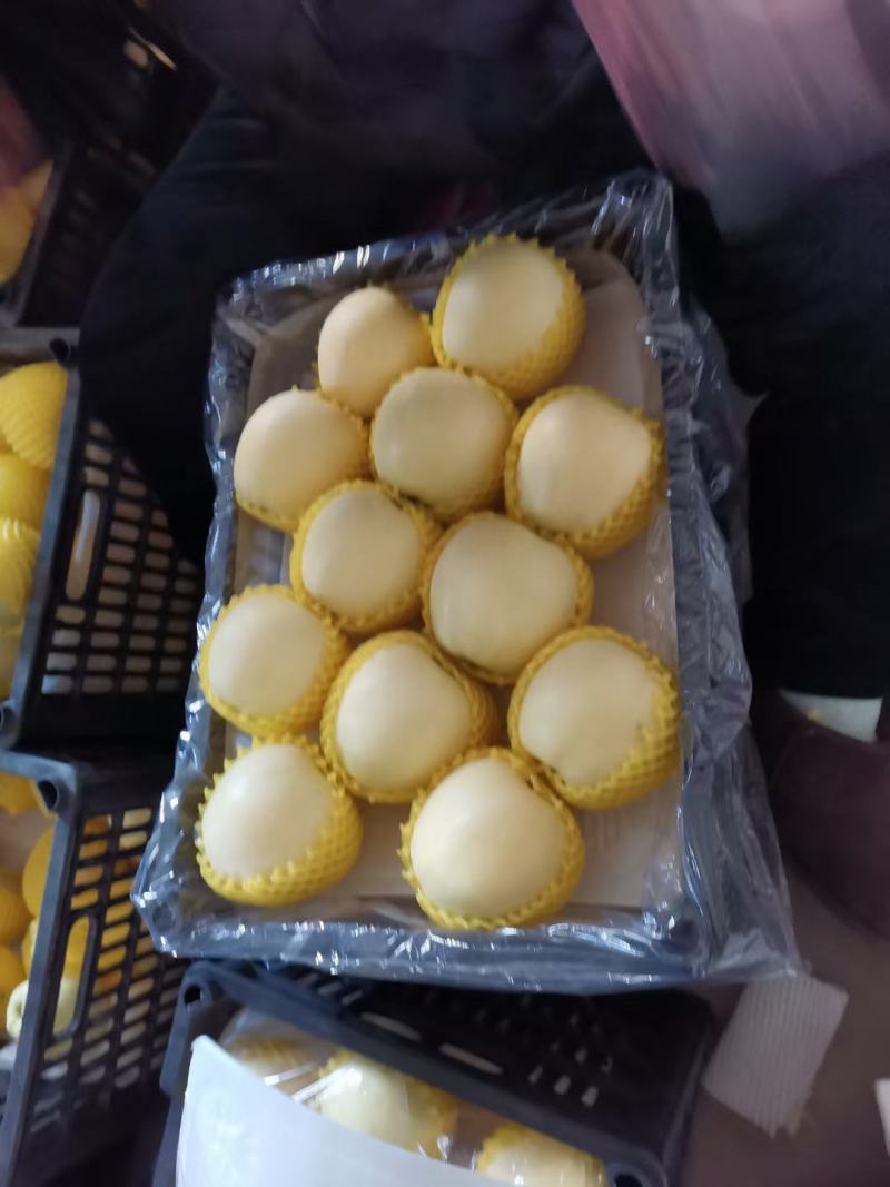 黄金帅个头大，口感甜。毛皮亮。果质好Ni耐运输