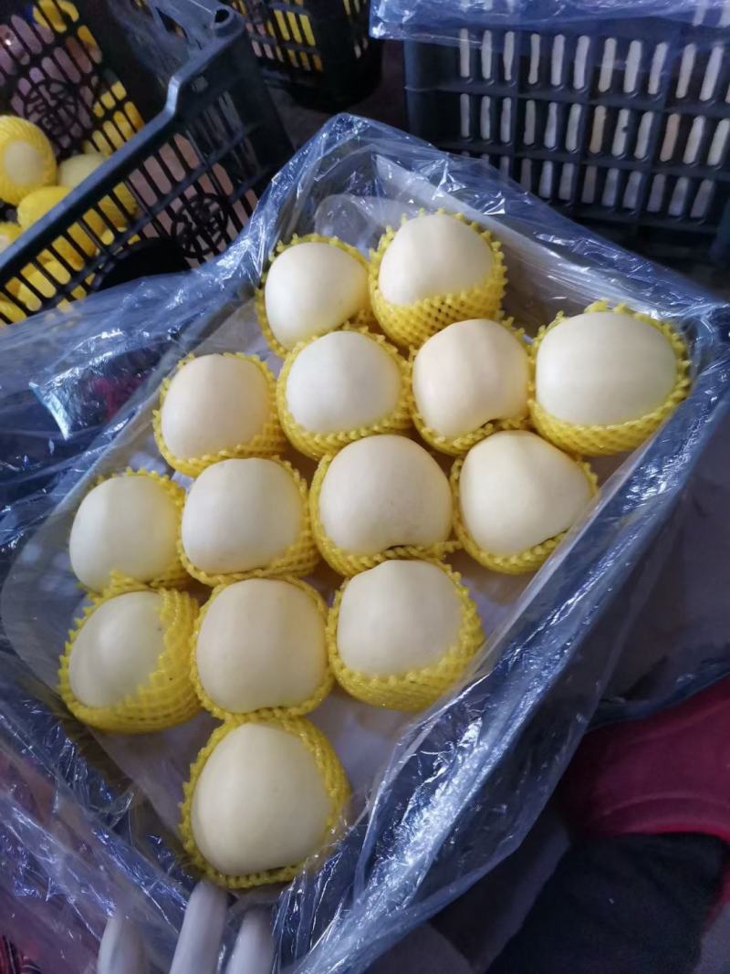 黄金帅个头大，口感甜。毛皮亮。果质好Ni耐运输