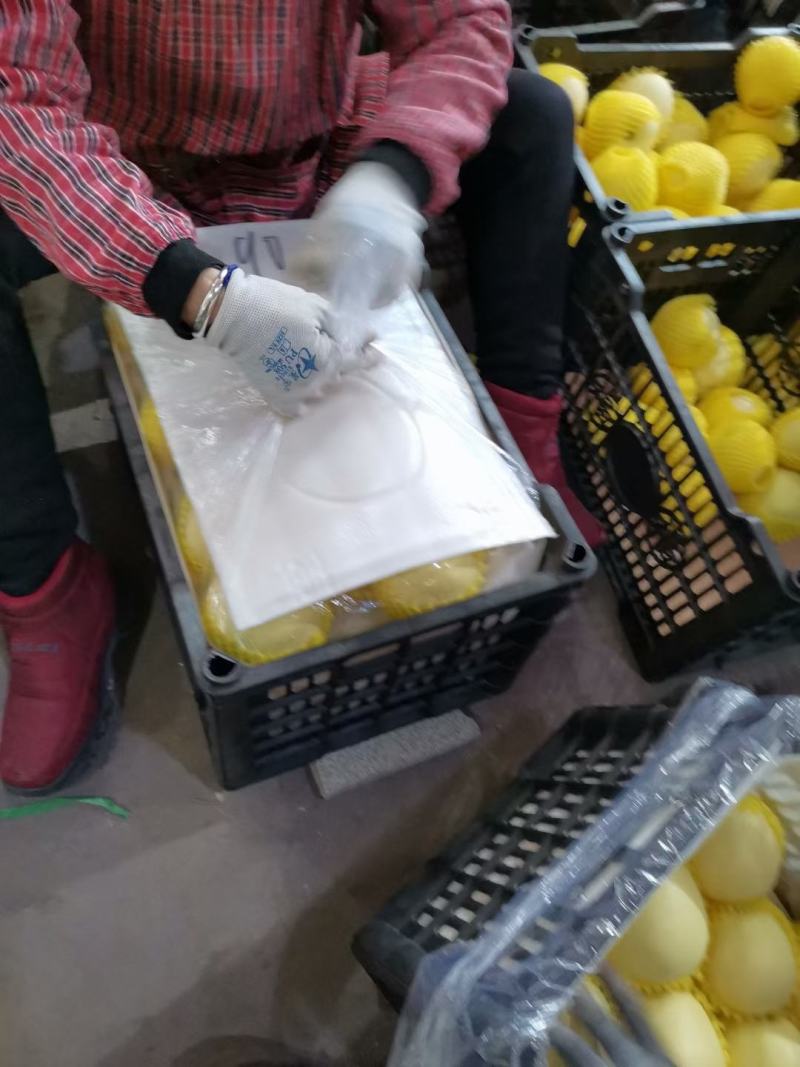 黄金帅个头大，口感甜。毛皮亮。果质好Ni耐运输