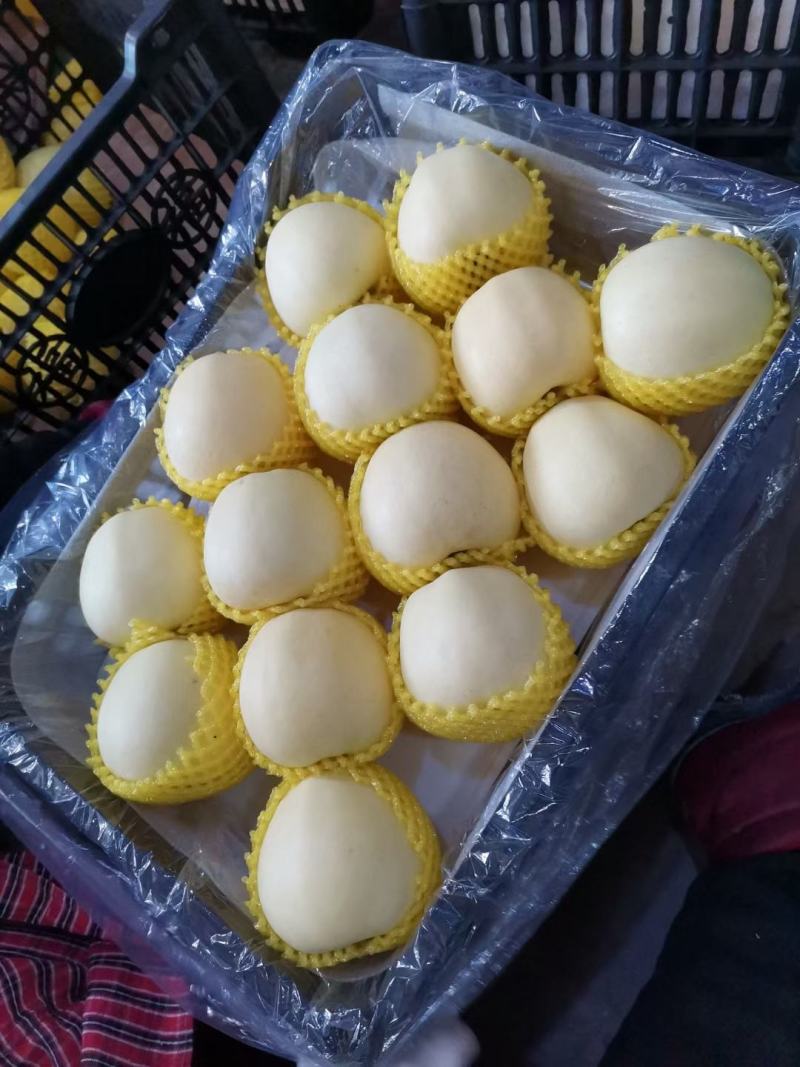 黄金帅个头大，口感甜。毛皮亮。果质好Ni耐运输