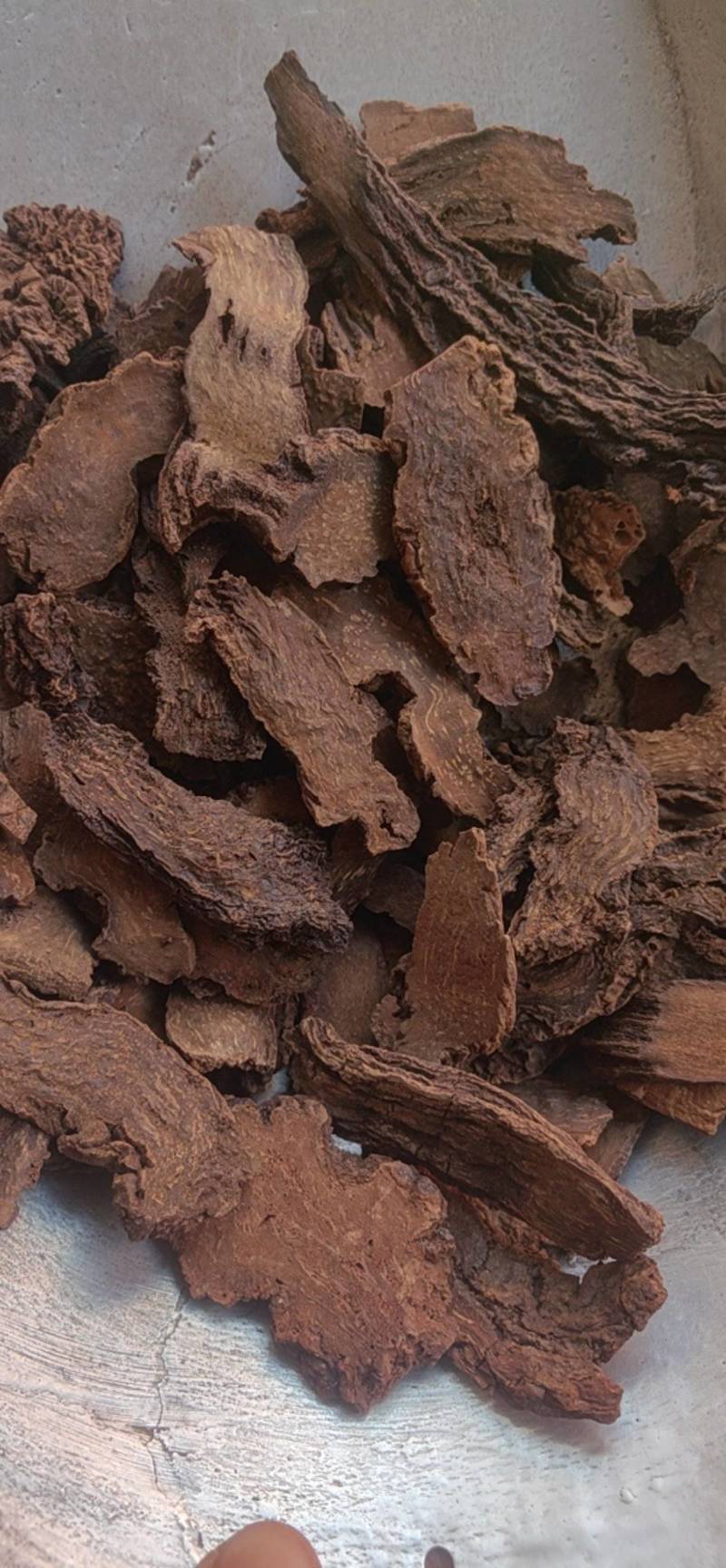 锁阳生锁阳片，中药材批发零售