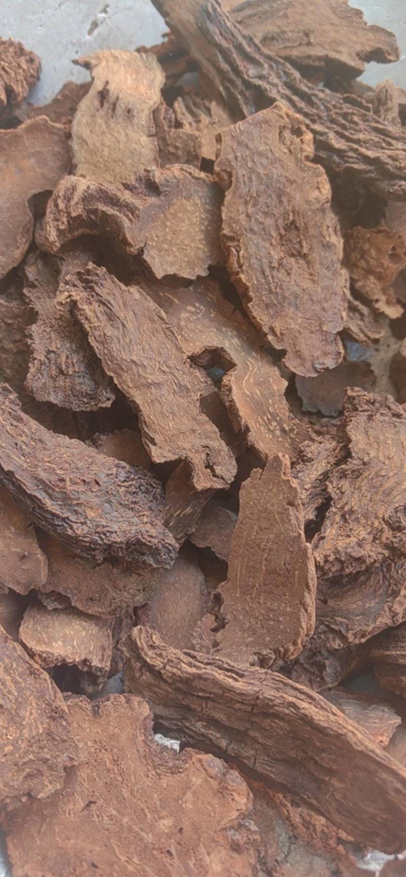 锁阳生锁阳片，中药材批发零售