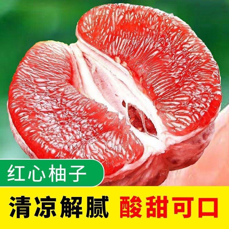 福建漳州三红蜜柚柚子红柚产地直发专业代办