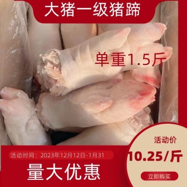 东北精品母猪一级前后混猪蹄，工厂直发，保质保量，欢迎选购