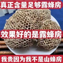 云南野生中药材蜂房胡蜂巢马蜂窝露蜂房硬蜂房