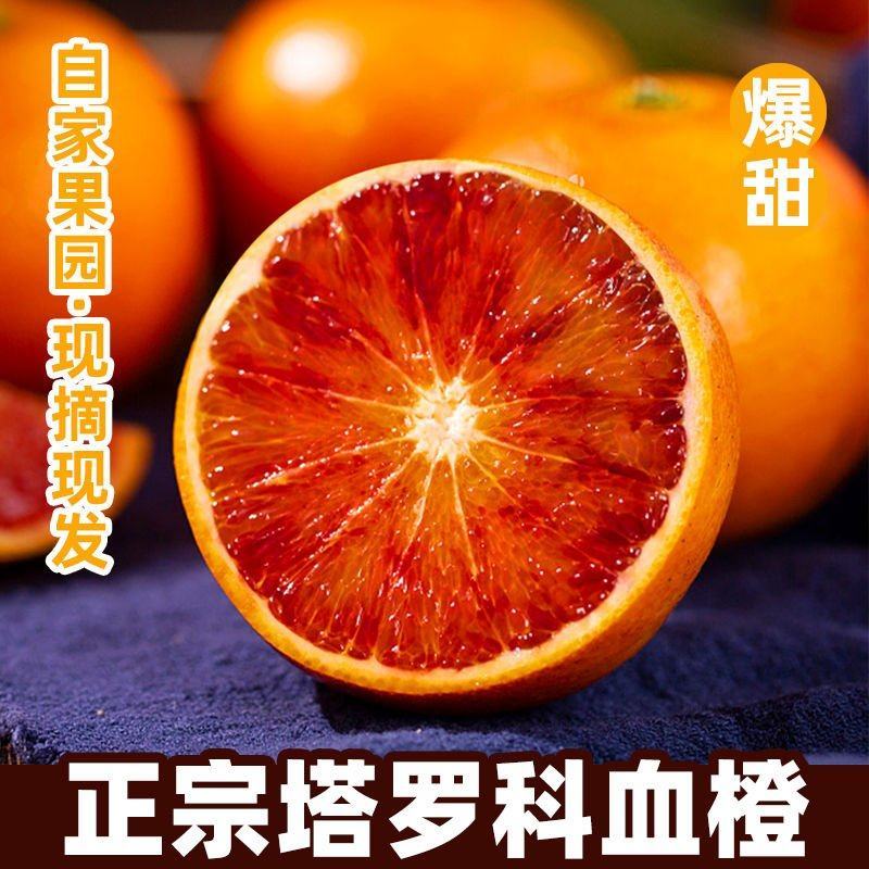 正宗四川塔罗科血橙新鲜采摘电商一件代发产地直发包邮包售后