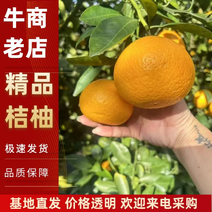 福建省漳州市平和桔柚价格，口感好，可全国发货欢迎采购