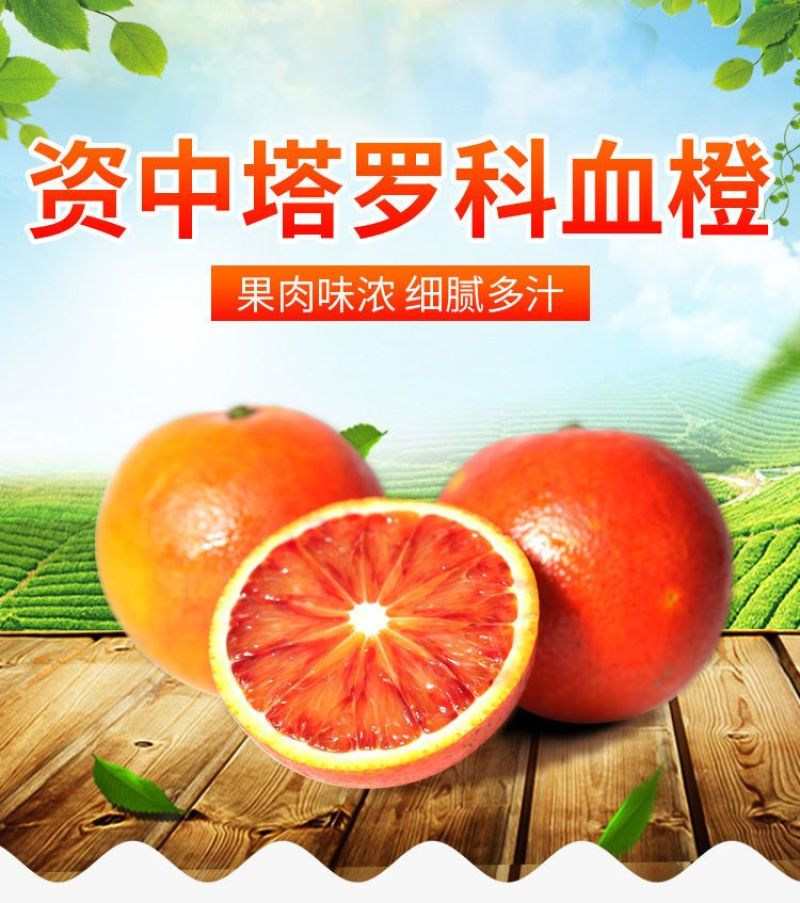 正宗四川塔罗科血橙新鲜采摘电商一件代发产地直发包邮包售后