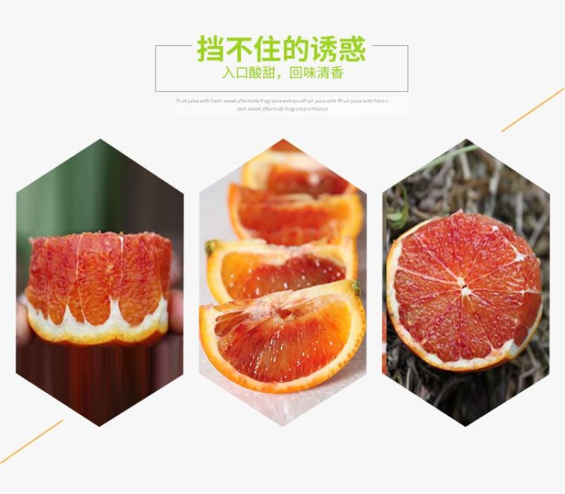 正宗四川塔罗科血橙新鲜采摘电商一件代发产地直发包邮包售后