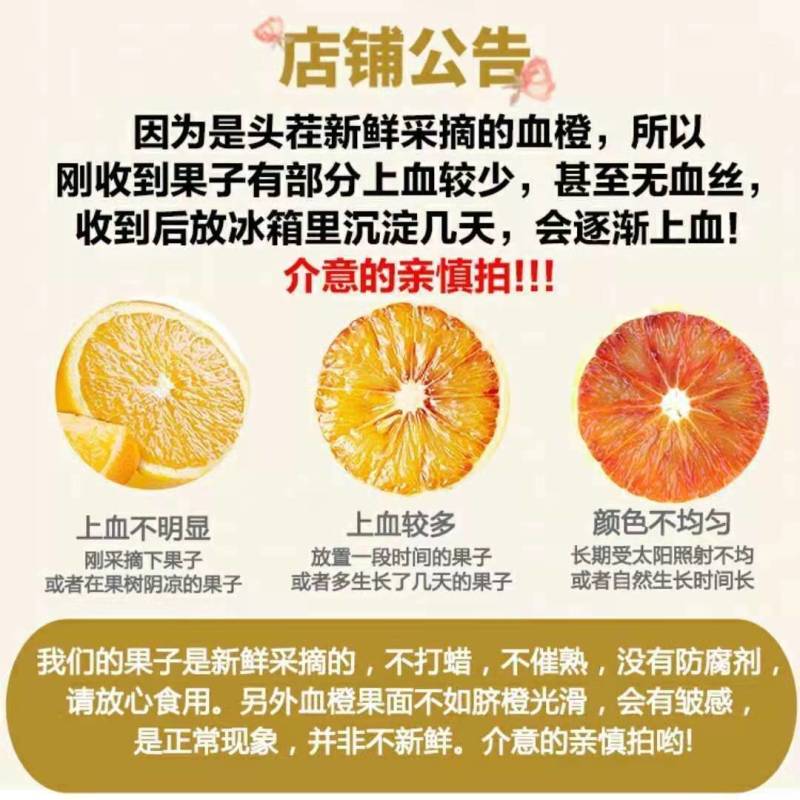 正宗四川塔罗科血橙新鲜采摘电商一件代发产地直发包邮包售后