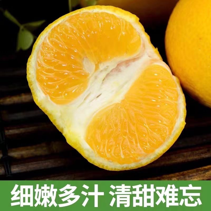 福建省漳州市平和桔柚价格优惠，口感好，可全国发货欢迎采购