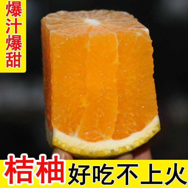福建省漳州市平和桔柚价格优惠，口感好，可全国发货欢迎采购