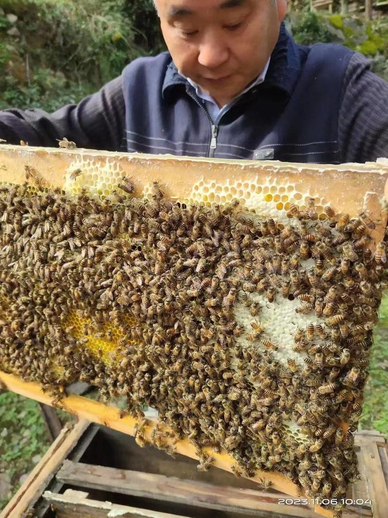 优质土蜂蜜一手货源量大从优货源充足欢迎来电咨询
