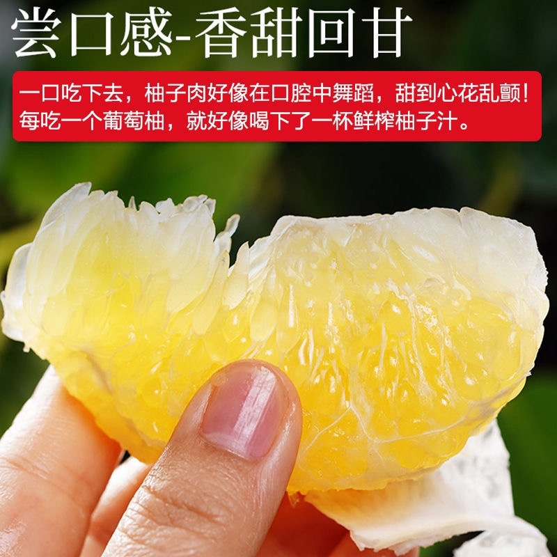 福建葡萄柚大量现货纯甜无酸，粒粒爆汁，欢迎采购