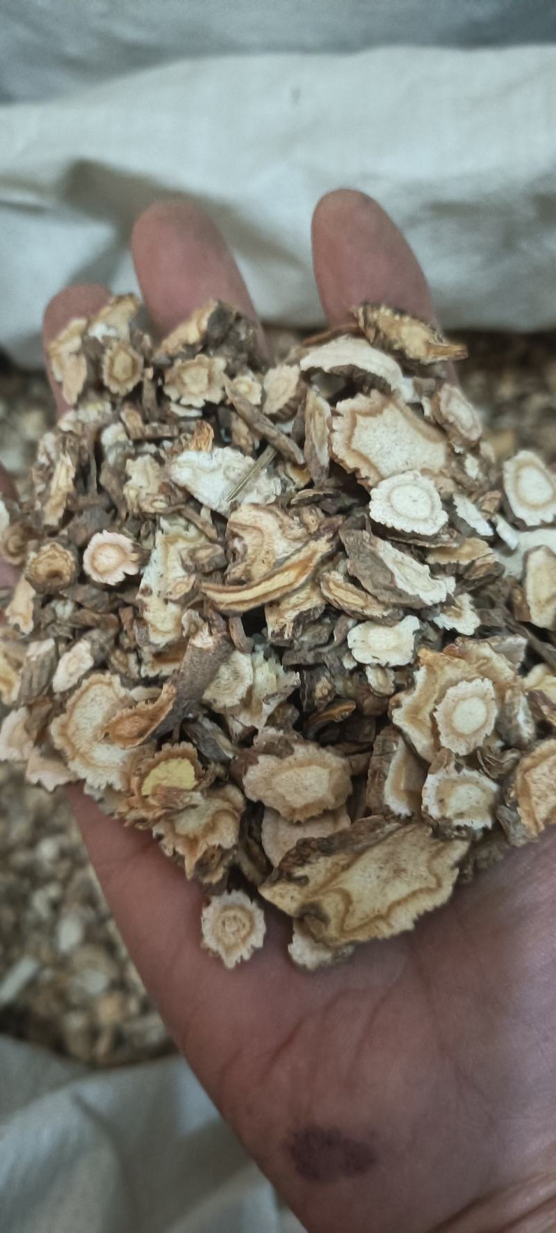 信前胡，含量高，质量好，量大从优，欢迎新老客户购买