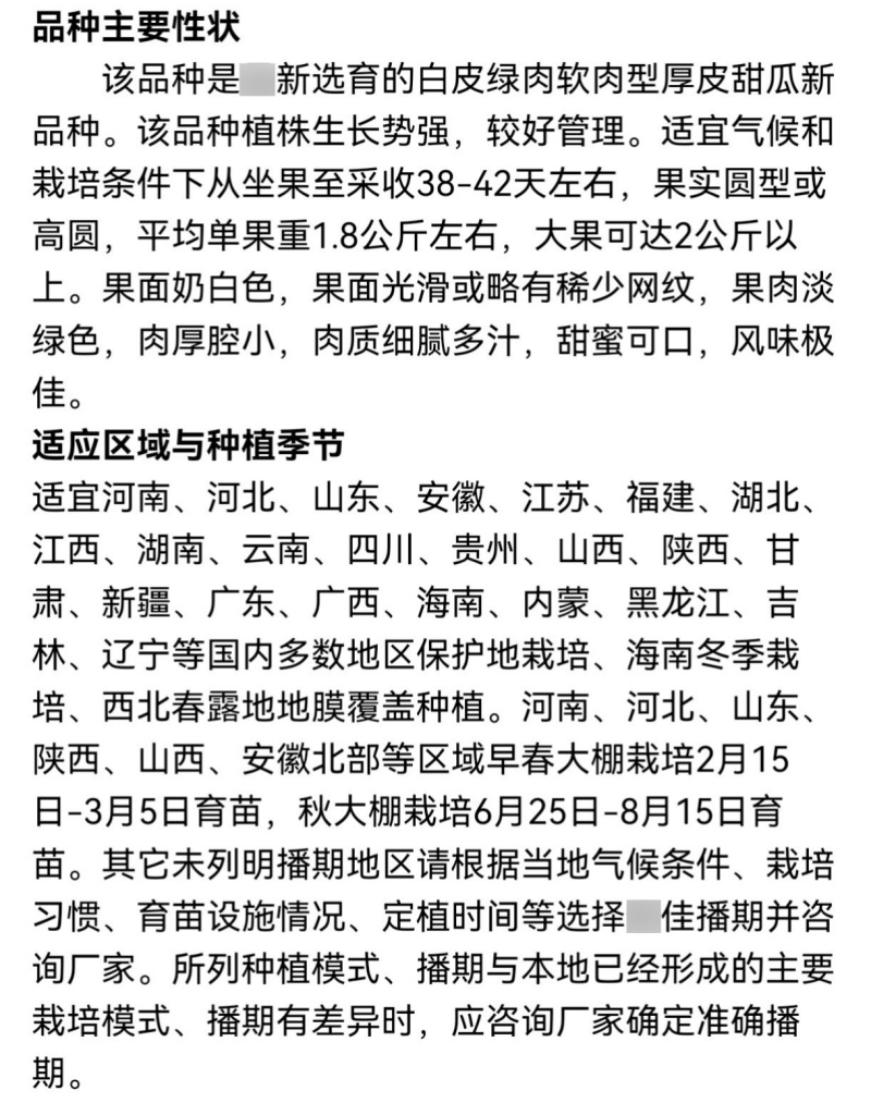 蜜姑三号玉姑甜瓜种子欧兰德白皮绿肉冰淇淋玉菇甜瓜香瓜种子