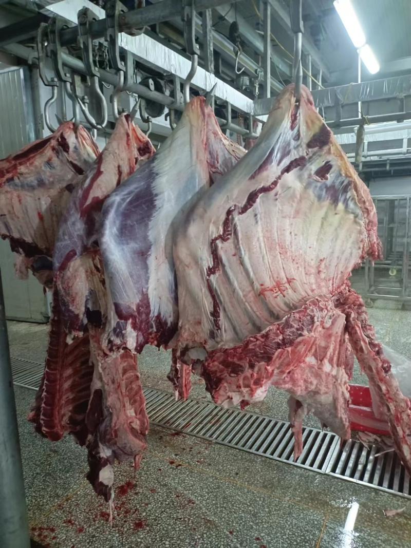 精品牛肉清真牛肉发往全国冷链发货支持视频看货电联
