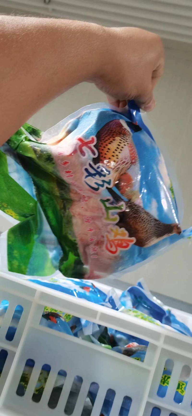 【七彩山鸡养殖户直发】老板00后，好沟通，只为冲量！