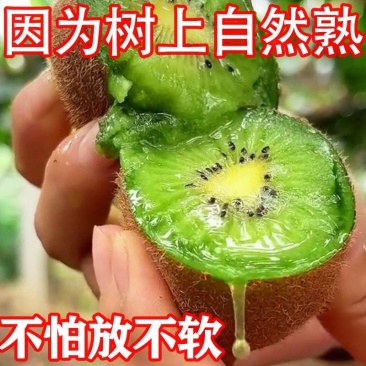 亚特秦美海沃德翠香猕猴桃一件代发合作