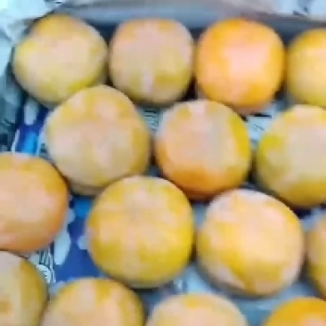 大家好，我这里有大量磨盘柿子，产地直销货源充足