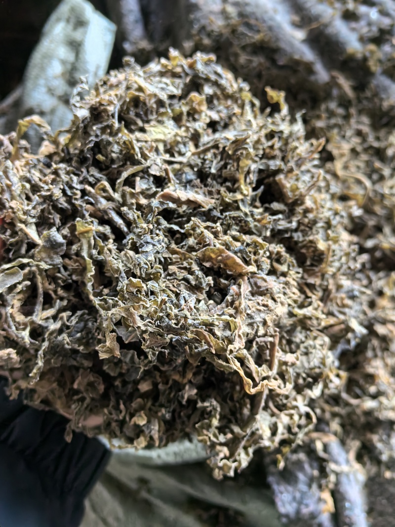 常年有货梅干菜产地批发大量供货价格优惠欢迎咨询合作