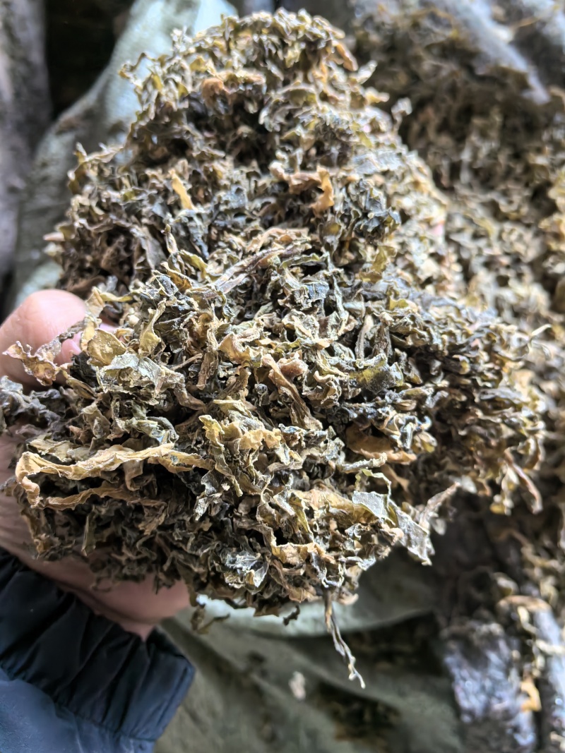 常年有货梅干菜产地批发大量供货价格优惠欢迎咨询合作