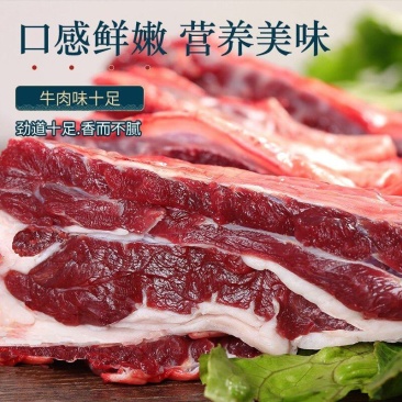 【牛商优选】精品牛肉一手货源营养美味牛肉味十足