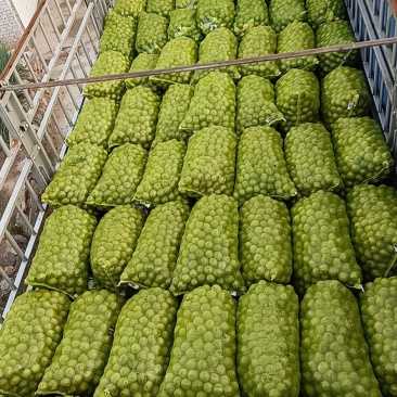 山西青皮核桃，特大丰，礼品二号，元丰，清香，金博丰