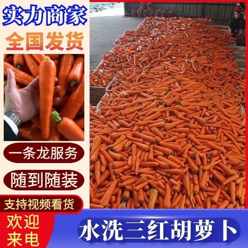 开封精品水洗胡萝卜，中条，小条开封产地直发，诚信经营，