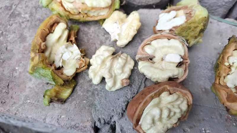 山西青皮核桃，特大丰，礼品二号，元丰，清香，金博丰