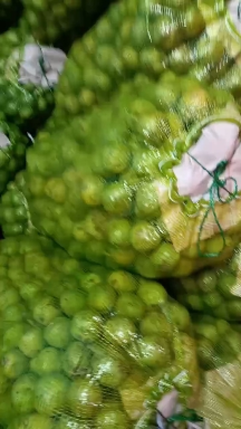 山西青皮核桃，特大丰，礼品二号，元丰，清香，金博丰