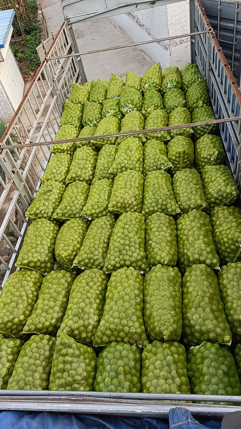 山西青皮核桃，特大丰，礼品二号，元丰，清香，金博丰