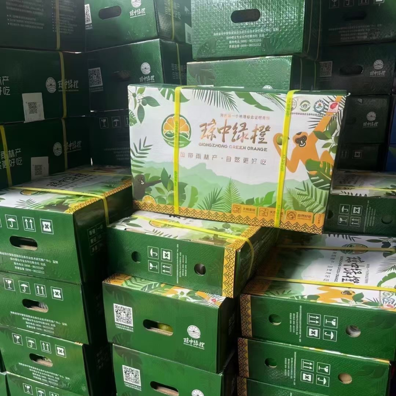 海南琼中绿橙自家果园支持自提，整车，一件代发顺丰快递包邮