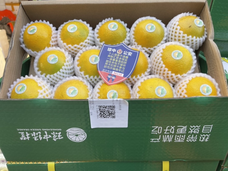 海南琼中绿橙自家果园支持自提，整车，一件代发顺丰快递包邮