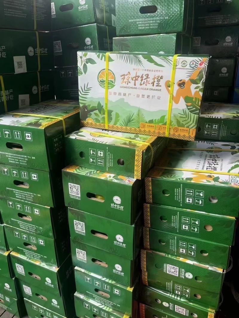 海南琼中绿橙自家果园支持自提，整车，一件代发顺丰快递包邮