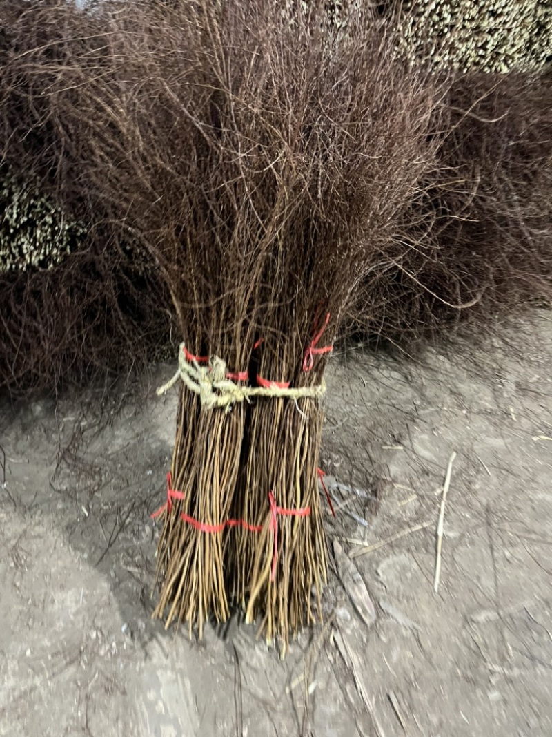 干支雪柳批发自己种的花质量好每年都在卖欢迎来电