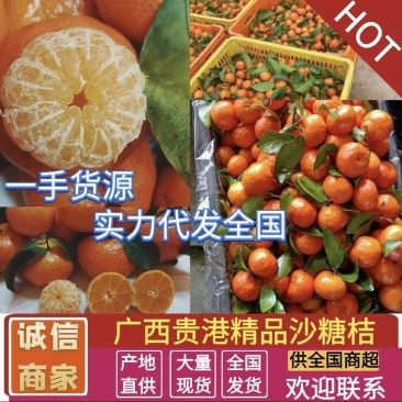 广西平南砂糖橘、沙糖桔纯甜无酸、皮薄化渣、支持全国发货
