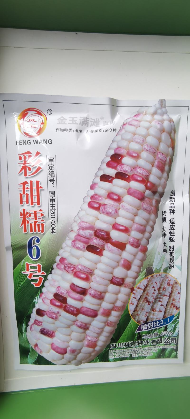 玉米种子彩甜糯6号国审大棒大粒甜美可口适应性广产量高