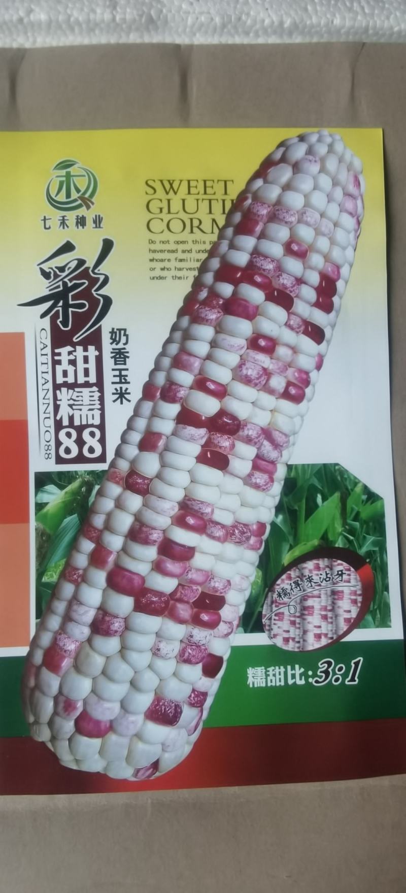 玉米种子彩甜糯6号国审大棒大粒甜美可口适应性广产量高