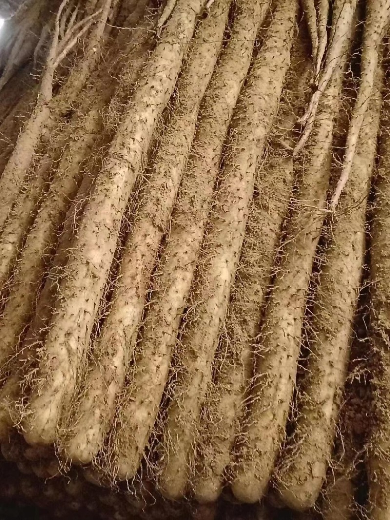 精品山药万亩基地大量出货，需要的老板联系我。