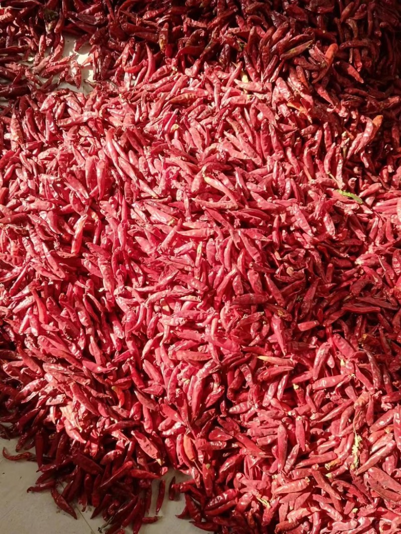精品山药万亩基地大量出货，需要的老板联系我。