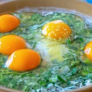农家散养土鸡蛋